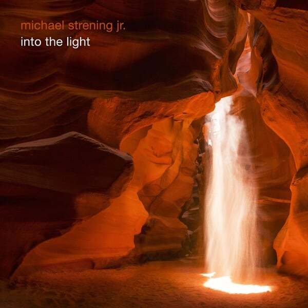 Cover art for Into the Light